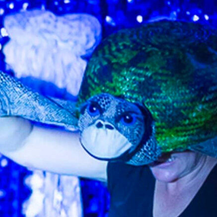 Oddysea is an interactive multi-sensory tale set in a tactile underwater wonderland.